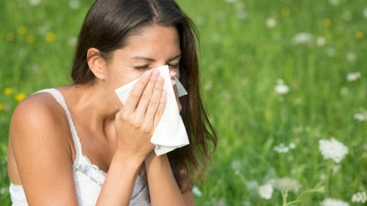 Seasonal Allergies
